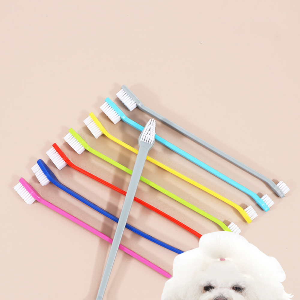 Double-headed Dog Toothbrush P - Group Head Brush ulasan dan harga